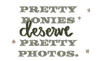 Horse And Rider Sticker by Molly Virginia Morris Photography