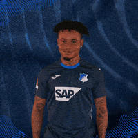 Sport Bundesliga GIF by TSG Hoffenheim
