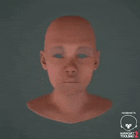 rizalalthur art 3d portrait c4d GIF