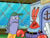 season 6 episode 3 GIF by SpongeBob SquarePants