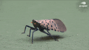 Us Open Tennis Sport GIF by US Open