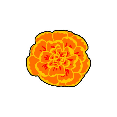 Festival Mexico Sticker by Mission Wraps