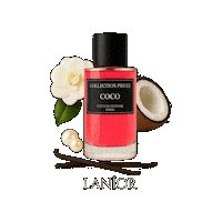 Coco Chanel Sticker by Lanior