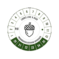 Stuff Acorn Sticker by twoandahalvehahn