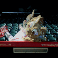 epchihuahuas baseball chihuahua mascots chico GIF