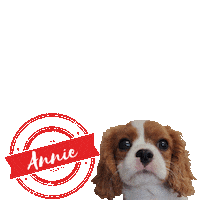 Tweedrva annie king charles stamped tweed Sticker