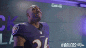 Football Celebrate GIF by Baltimore Ravens