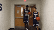 vwu_marlins marlins vwu wethebeach virginiawesleyan GIF