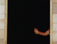 Papasito GIF by Karol G