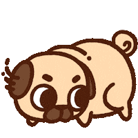 Look Around What Sticker by Puglie Pug