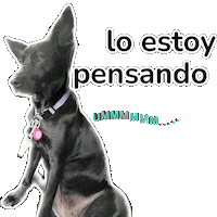Thinking Pensando Sticker by Vitalsaludkids