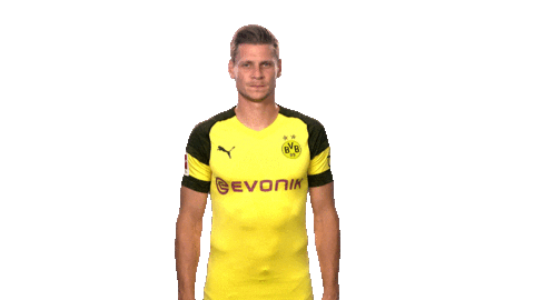 borussia dortmund football Sticker by Bundesliga