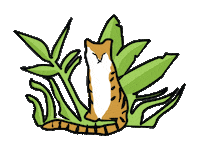 accentdecorinc tiger accentdecor accent decor Sticker