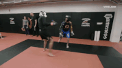 viceland GIF by RISE