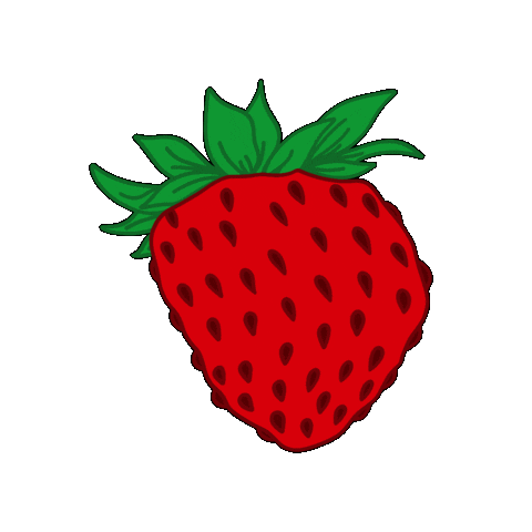Summer Fruit Sticker