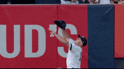 Jomboy  GIF