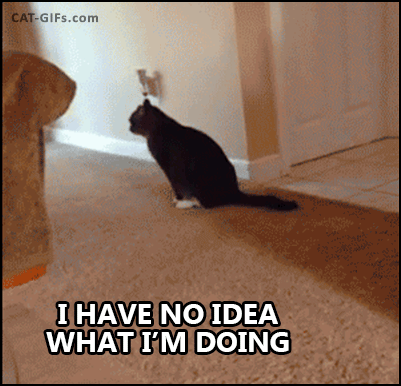 i have no idea GIF