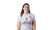 Volleyball Volley Sticker by Millenium Brescia