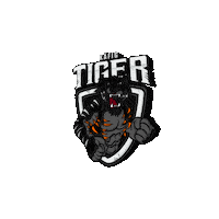 BallerLeague baller league bll team käfigtiger Sticker