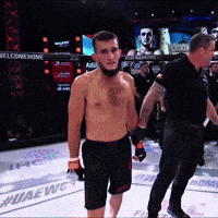 Prince Of Persia Mma GIF
