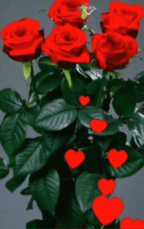 Amigos Buenas Noches GIF by Murcianys LLC