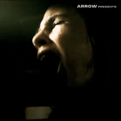 Texas Chainsaw Massacre Film GIF by Arrow Video