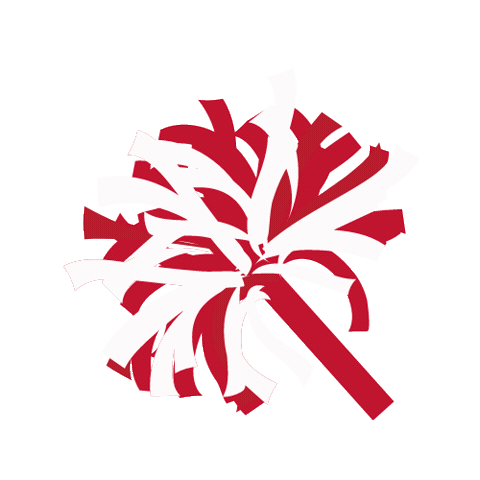 College Football Sticker by MiamiOH Student Life