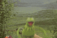 Sesame Street Muppets GIF by Muppet Wiki