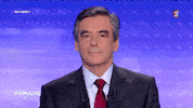 mimique GIF by franceinfo