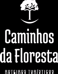 caminhosdafloresta  GIF