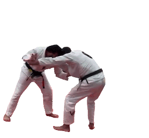 Judo Jiujitsu Sticker by Virtue BJJ
