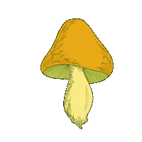 preztmo fun fall colors mushroom Sticker