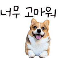 Corgi Milo Sticker