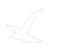 Mouette Sticker by Saint Benoît