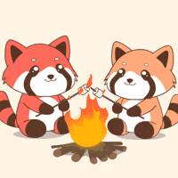 Camping Red Panda GIF
