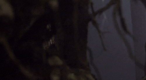 wayward pines GIF by Fox TV