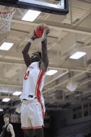 Mens Basketball GIF by MSUM Dragons