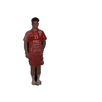 Rema1000Ligaen Follo Sticker by Norsk Topphåndball