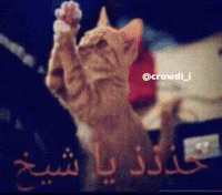 كراودي GIF