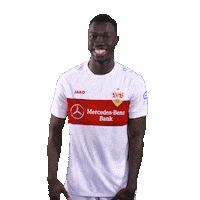 Daumen Hoch Thumbs Up Sticker by VfB Stuttgart