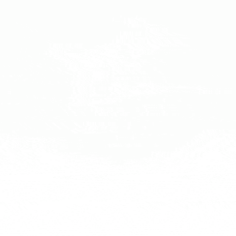 konstantinvsedegov giphygifmaker GIF