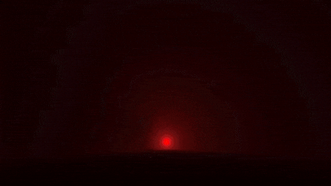 Cycling Lotto GIF by de chinezen