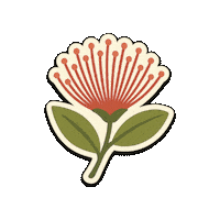 Kiwiana Pohutukawa Sticker by NZ Collab