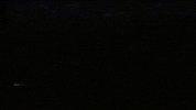Aesthetics Trash Gang GIF