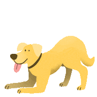 Dog Sticker by Artificial Group