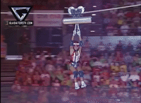 gladiators falcon GIF