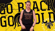 Black And Gold Celebration GIF by Waterloo Warriors