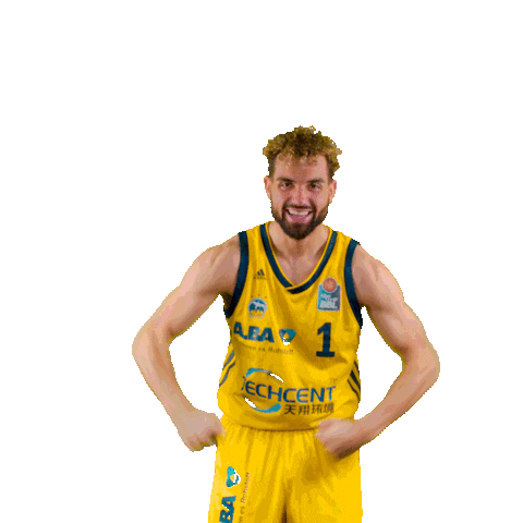 game on gameday Sticker by easyCredit Basketball Bundesliga