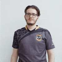 leagueoflegends GIF by Splyce