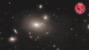 Universe Cosmos GIF by ESA/Hubble Space Telescope